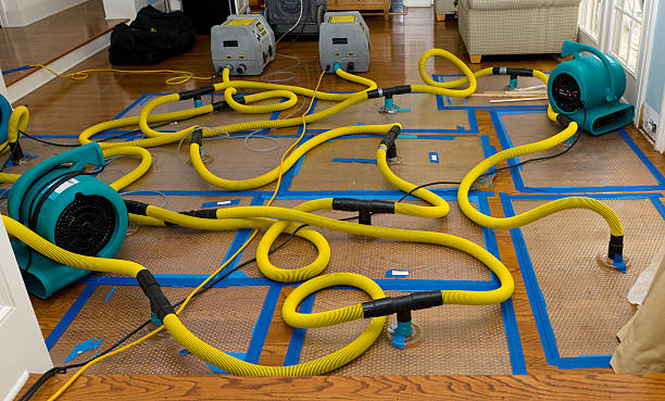 Professional Crawl Space Water Removal technician working in Westfield, NJ